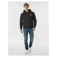 Sweat à capuche Champion noir pour homme, en chenille tissée inversée, Arizona Diamondbacks.