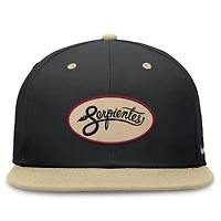Men's Nike Black/Gold Arizona Diamondbacks City Connect True Fitted Hat