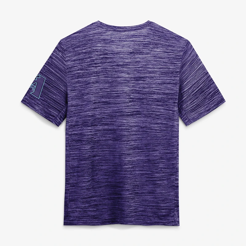 Men's Nike Purple Arizona Diamondbacks Authentic Collection City Connect Velocity Dri-FIT T-Shirt
