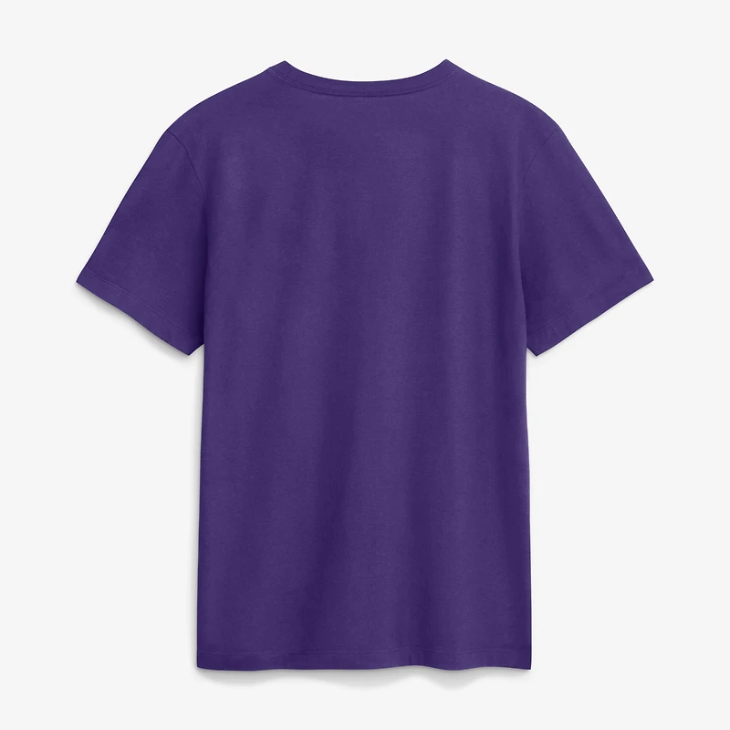 Men's Nike Purple Arizona Diamondbacks City Connect Wordmark T-Shirt
