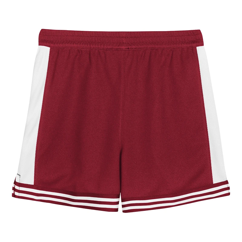 Toddler Red Arizona Diamondbacks Pinch Hitter Infielder T-Shirt & Shorts Set