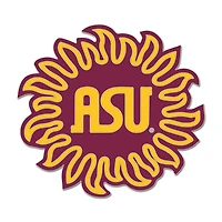 WinCraft Arizona State Sun Devils College Vault Collector Pin