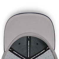 Men's Nike Gray Arizona Wildcats On-Field Dugout True Performance Fitted Hat