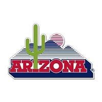 WinCraft Arizona Wildcats College Vault Collector Pin