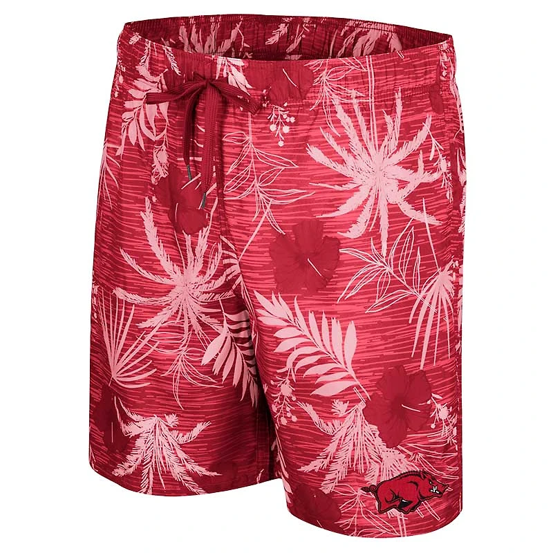 Colosseum Cardinal Arkansas Razorbacks pour homme What Else is New Short de bain
