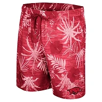 Colosseum Cardinal Arkansas Razorbacks pour homme What Else is New Short de bain