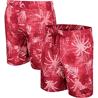 Colosseum Cardinal Arkansas Razorbacks pour homme What Else is New Short de bain