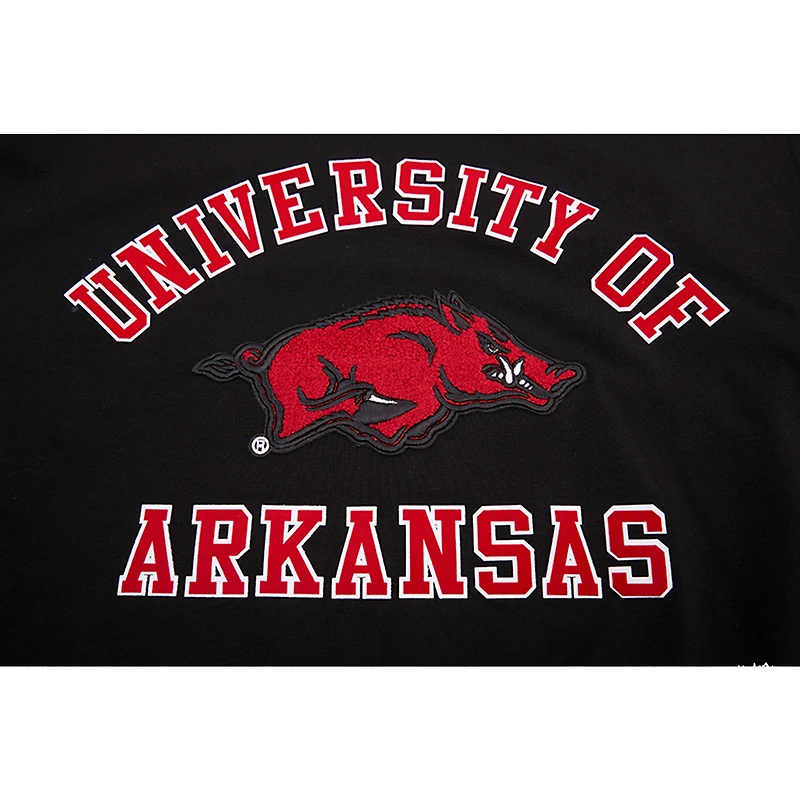 Men's Pro Standard Black Arkansas Razorbacks Classic Stacked Logo T-Shirt