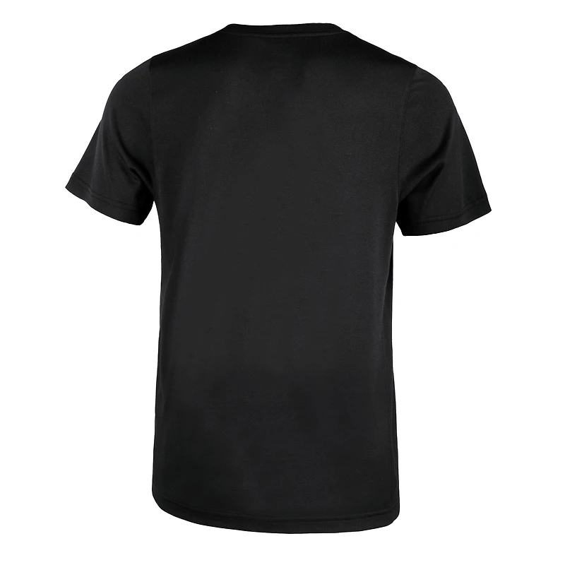 Preschool Nike Black Arkansas Razorbacks Legend Performance T-Shirt