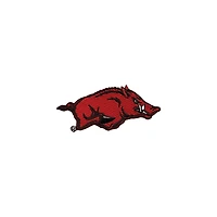 Tervis Arkansas Razorbacks, paquet de 2, 16 oz. Ensemble de gobelets concurrents et emblèmes