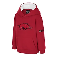 Sweat à capuche en polaire gros logo pour tout-petits Colosseum Cardinal Arkansas Razorbacks