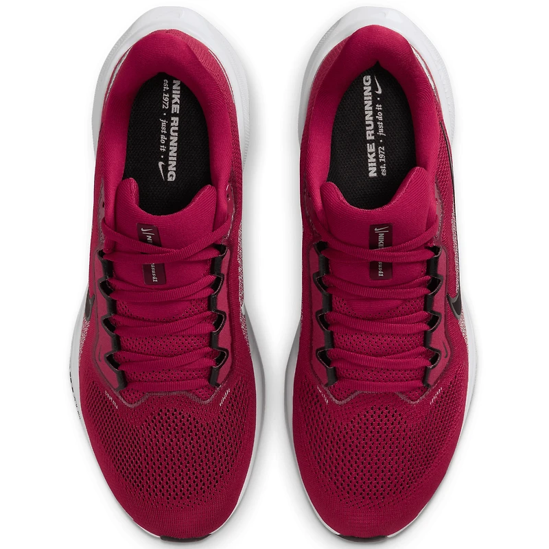 Unisex Nike Cardinal Arkansas Razorbacks Zoom Pegasus 41 Running Shoes