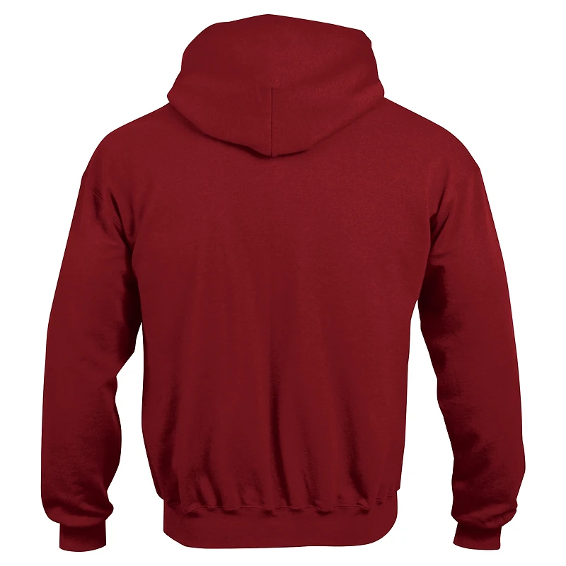 Sweat à capuche du champion des jeunes Cardinal Arkansas Razorbacks Campus