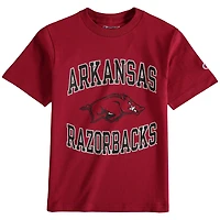 Champion de la jeunesse Cardinal Arkansas Razorbacks Circling Team Jersey T-shirt