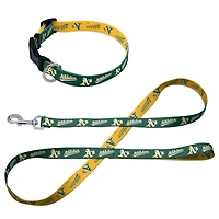 Ensemble laisse et collier pour animaux de compagnie WinCraft Athletics