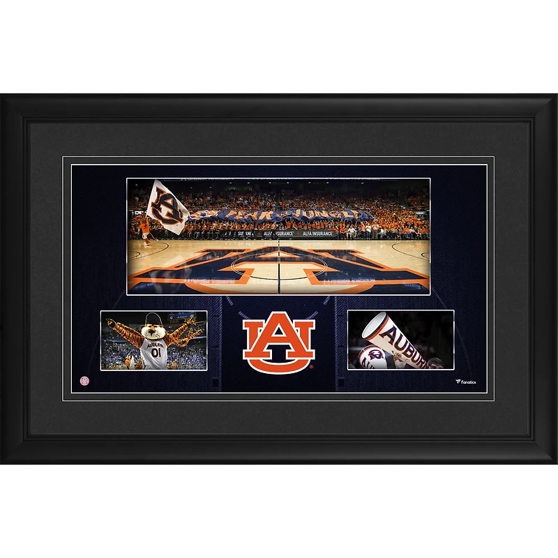 Auburn Tigers Framed 10'' x 18'' Auburn Arena Panoramic Collage