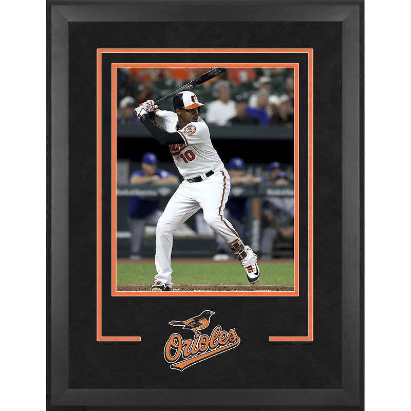Cadre photo vertical de luxe Baltimore Orioles 16" x 20"