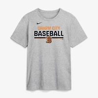Men's Nike Heather Gray Baltimore Orioles 2026 City Connect Stacked Team Phrase T-Shirt
