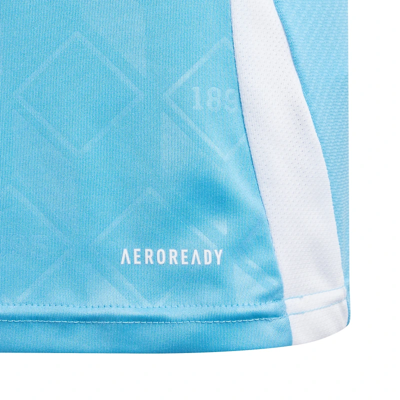 Youth adidas  Blue Belgium National Team 2024 Away Replica Jersey