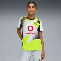Youth Puma Gray Borussia Dortmund 2025/26 Away Replica Jersey