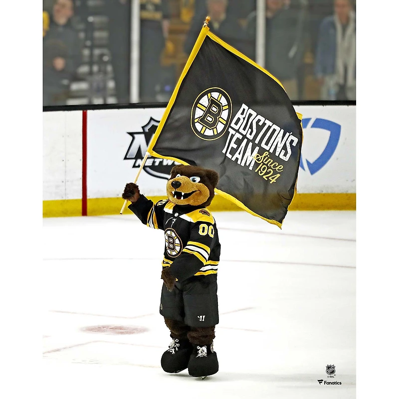 Photographie non signée du drapeau flottant des Bruins de Boston Blades