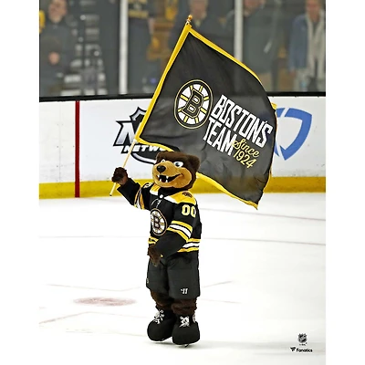 Blades Boston Bruins Unsigned Waving Flag Photograph