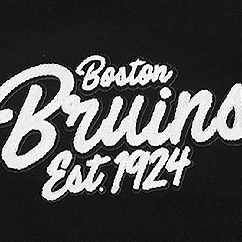 Men's Pro Standard  Black Boston Bruins Paint the City Pullover Hoodie