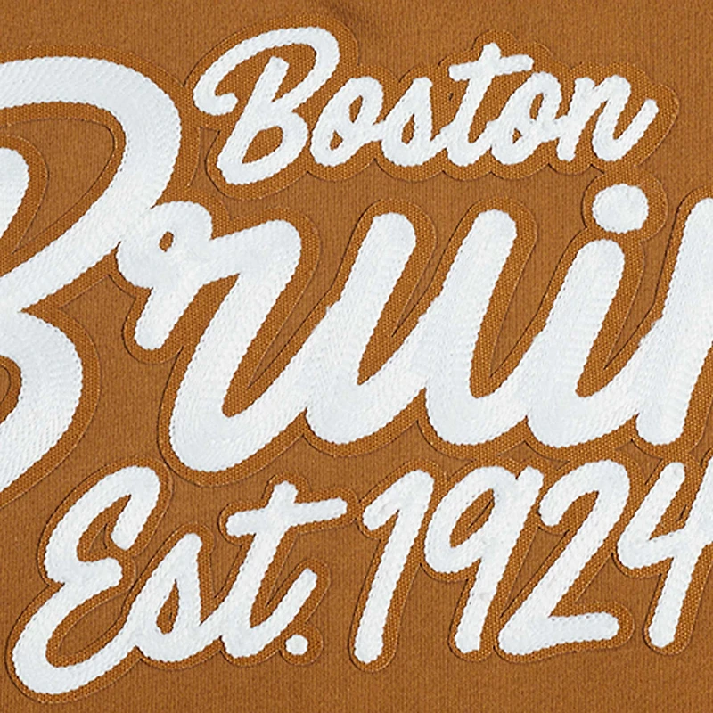 Sweat-shirt à enfiler Pro Standard Brown Boston Bruins Paint the City pour homme