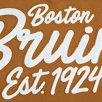 Sweat-shirt à enfiler Pro Standard Brown Boston Bruins Paint the City pour homme