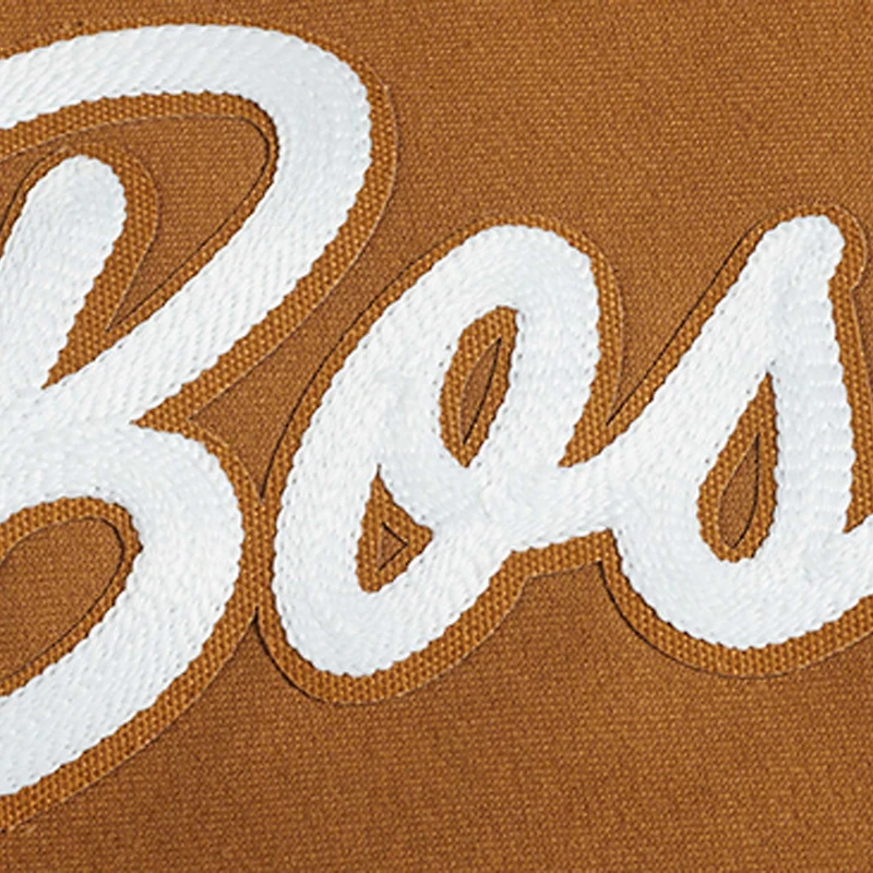 Sweat-shirt à enfiler Pro Standard Brown Boston Bruins Paint the City pour homme