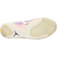 Jayson Tatum Boston Celtics Autographed Game-Used Tan Jordan Shoes vs. Denver Nuggets on March 2, 2025