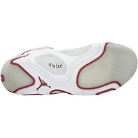 Jayson Tatum Boston Celtics Autographed Game-Used White/Red Jordan Shoes vs. Toronto Raptors on January 15, 2025