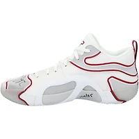 Jayson Tatum Boston Celtics Autographed Game-Used White/Red Jordan Shoes vs. Toronto Raptors on January 15, 2025