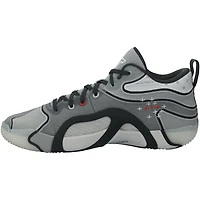 Jayson Tatum Boston Celtics Game-Used Gray Jordan Shoes vs. Los Angeles Lakers on January 23, 2025