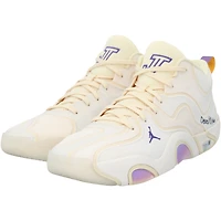 Jayson Tatum Boston Celtics Game-Used Tan Jordan Brand Shoes vs. Denver Nuggets on March 2, 2025