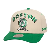 Men's Mitchell & Ness Cream/Kelly Green Boston Celtics 17x NBA Champions Soul Legacy Defined Pro Crown Snapback Hat