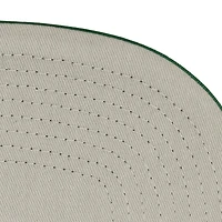 Men's Mitchell & Ness  Cream/Kelly Green Boston Celtics Cityscape Caddy Snapback Hat