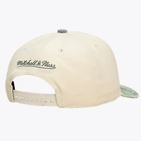 Unisex Mitchell & Ness Cream/Green Boston Celtics Faded Pro Snapback Hat