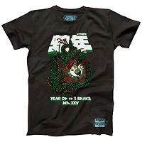Unisex NBALab x Hyperfly Heather Black Boston Celtics Year of the Snake Lunar New Collection T-Shirt