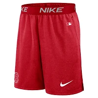 Short en tricot Performance Nike Red Sox de Boston Authentic Collection pour homme