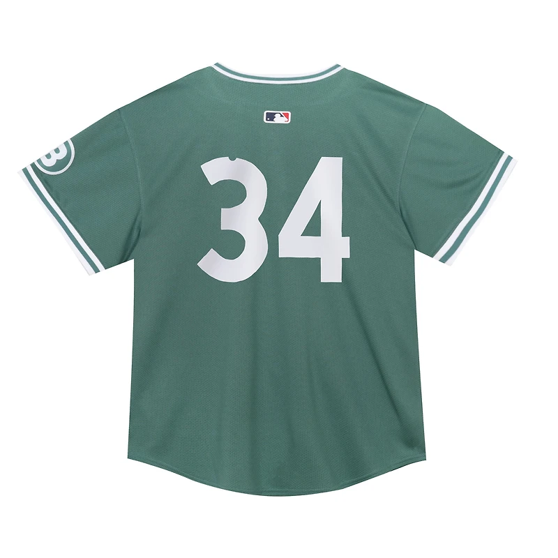 Toddler Nike David Ortiz Green Boston Red Sox 2025 City Connect Limited Retired Player Jersey