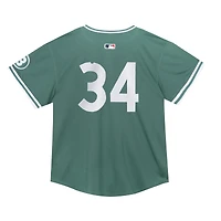 Toddler Nike David Ortiz Green Boston Red Sox 2025 City Connect Limited Retired Player Jersey