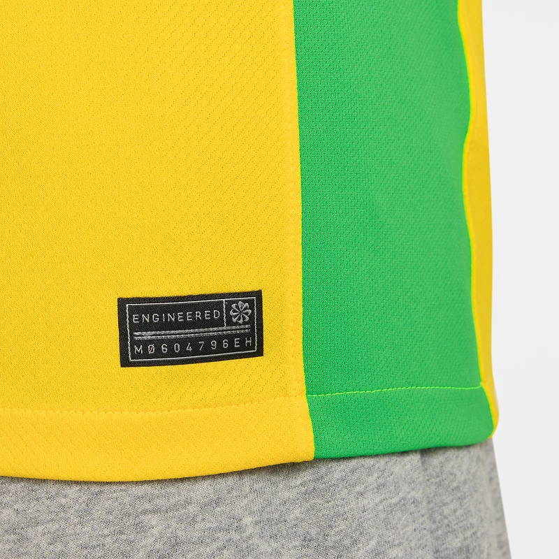 Maillot Nike jaune domicile 2025/26 de l'équipe nationale féminine du Brésil pour homme