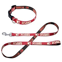 Ensemble laisse et collier pour animaux de compagnie WinCraft Calgary Flames