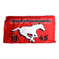 Ensemble de deux taies d'oreiller Calgary Stampeders