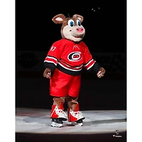 Stormy Carolina Hurricanes Unsigned Storm Surge Celebration Photograph