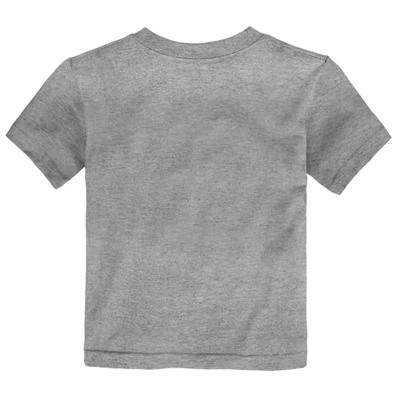 Toddler Fanatics Heather Gray Carolina Hurricanes 2026 Stanley Cup Champions Authentic Locker Room T-Shirt