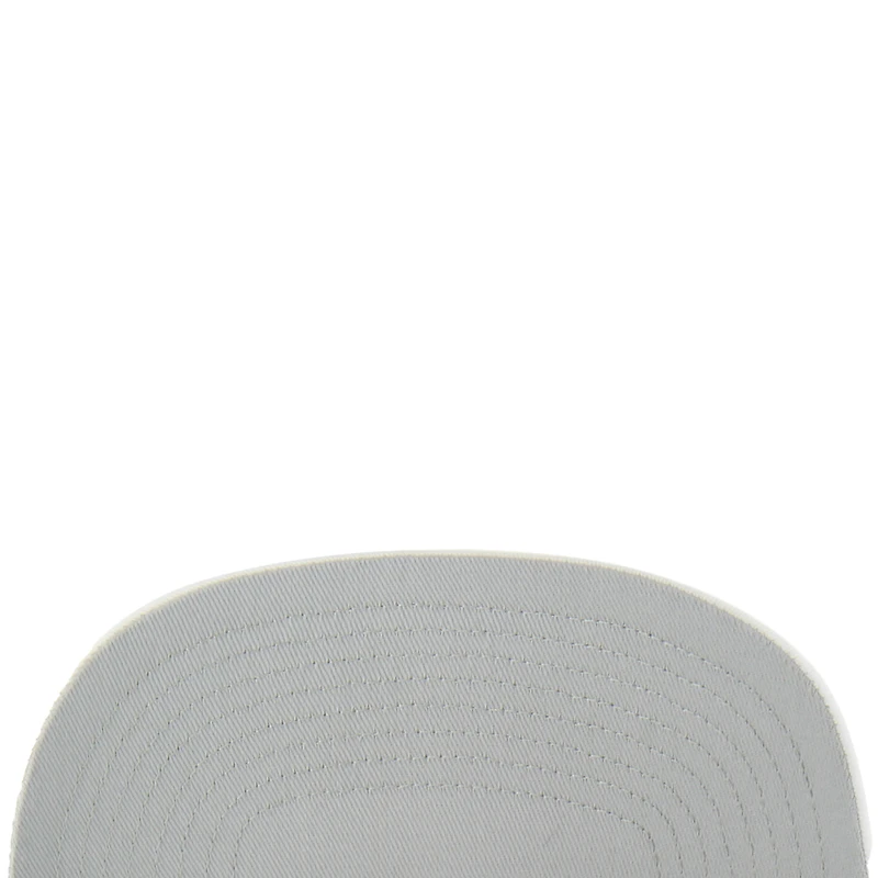 Men's '47 White Carolina Panthers Snowball Trophy Stretch Fit Hat