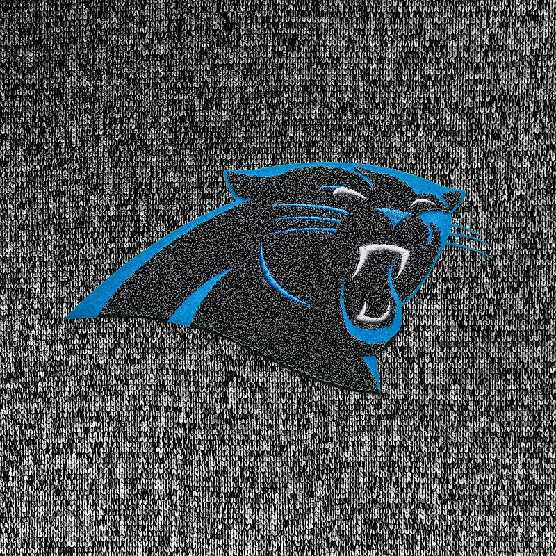 Sweat à capuche en chenille Absolute pour homme, coloris noir chiné, des Carolina Panthers