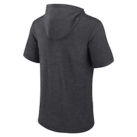 Sweat à capuche manches courtes pour hommes Fanatics Heather Charcoal Carolina Panthers Push